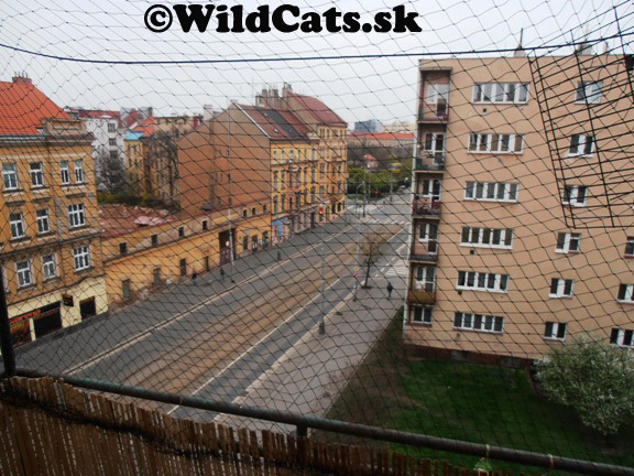Mačacia sieť na balkóne