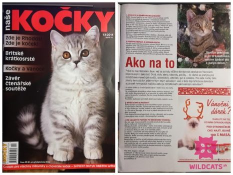 WildCats už radí aj českým mačkárom v magazíne Naše kočky