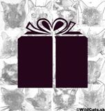 SLOBODA ZVIERAT: Ďakujeme za vianočný darček pre mačičky!