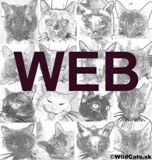 wildscats.com známy už aj v Českej republike – napísali o nás Naše kočky